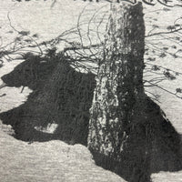 Vintage 2004 Satanic Warmaster Of The Night Longsleeve