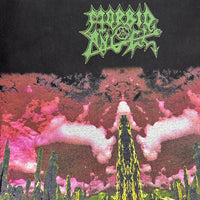 ヴィンテージ 1995 モービッド・エンジェル ドミネーション ロングスリーブ