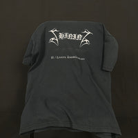 ヴィンテージ 2001 シャイニング IL リヴェッツ Tシャツ