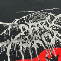 Vintage 2000s Darkthrone Wolfs Among Sheep Longsleeve