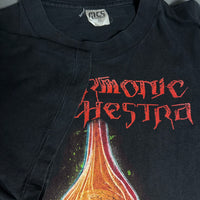 1992年ヴィンテージ ディザモニック・オーケストラ ペリッシング・パッション Tシャツ