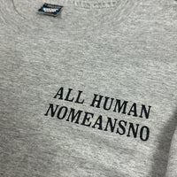 NoMeansNo 1994 オール・ヒューマンズ・ロリンズ・バンド ヴィンテージ Tシャツ