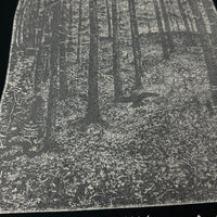 サーガイスト 2000年代 ブラック デボーション ヴィンテージ Tシャツ