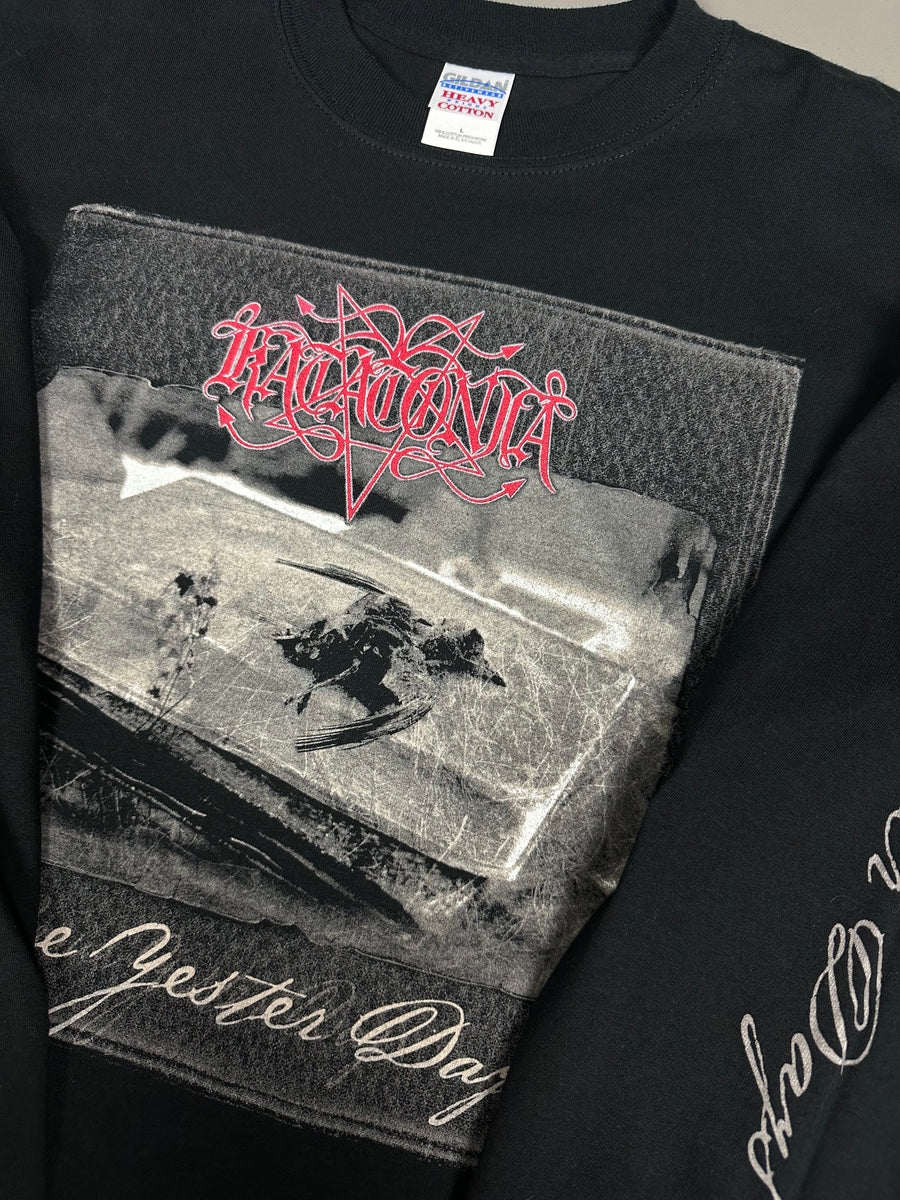 カタトニア 2004 ブレイブ イエスタデイズ ヴィンテージ ロングスリーブ