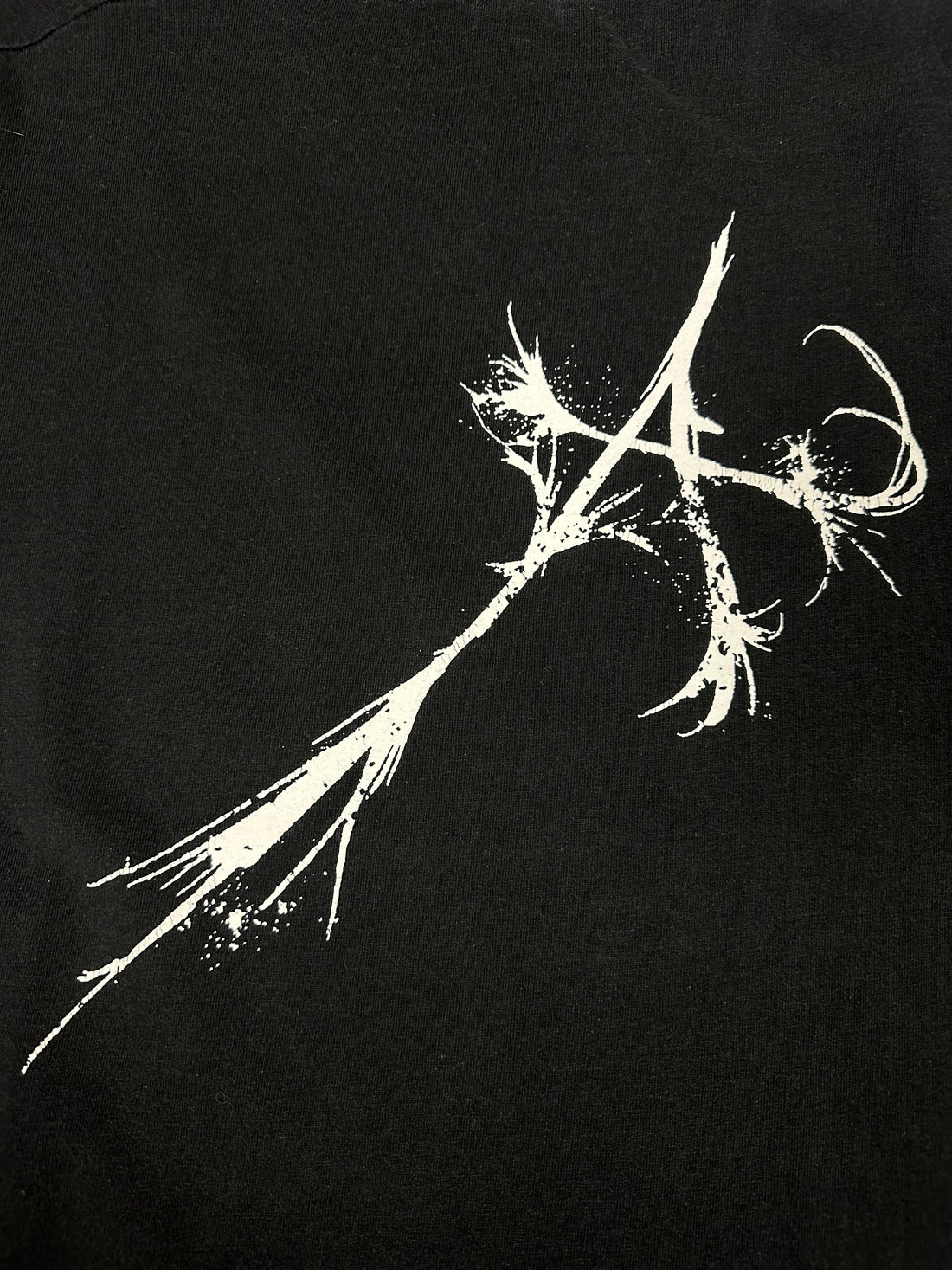 Austere 2009 Old Ashes DSBM Tシャツ