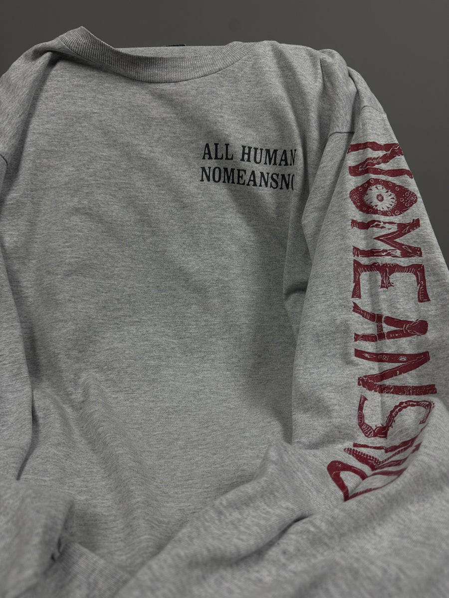 NoMeansNo 1994 オール・ヒューマンズ・ロリンズ・バンド ヴィンテージ Tシャツ