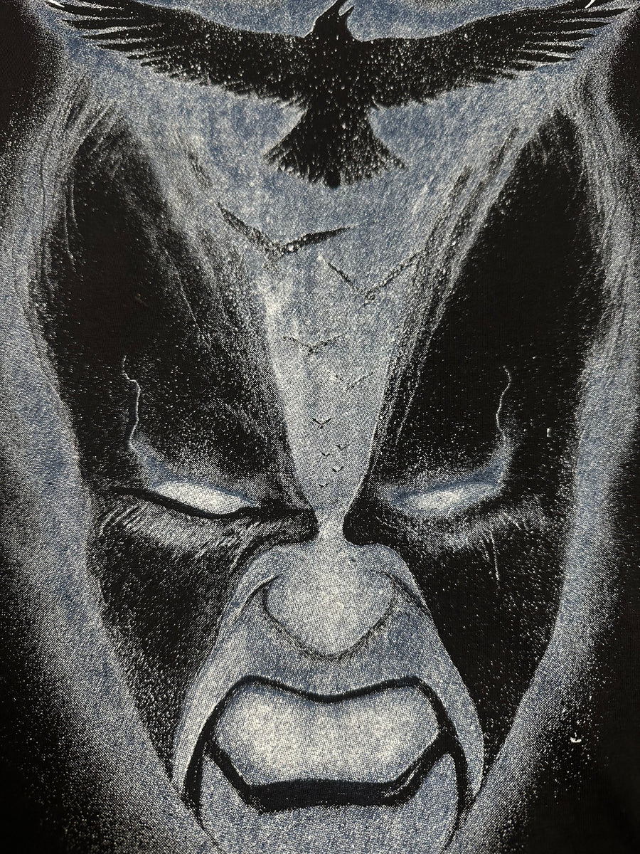 ヴィンテージ 1995 イモータル ネビュラー レイブンズ ロングスリーブ