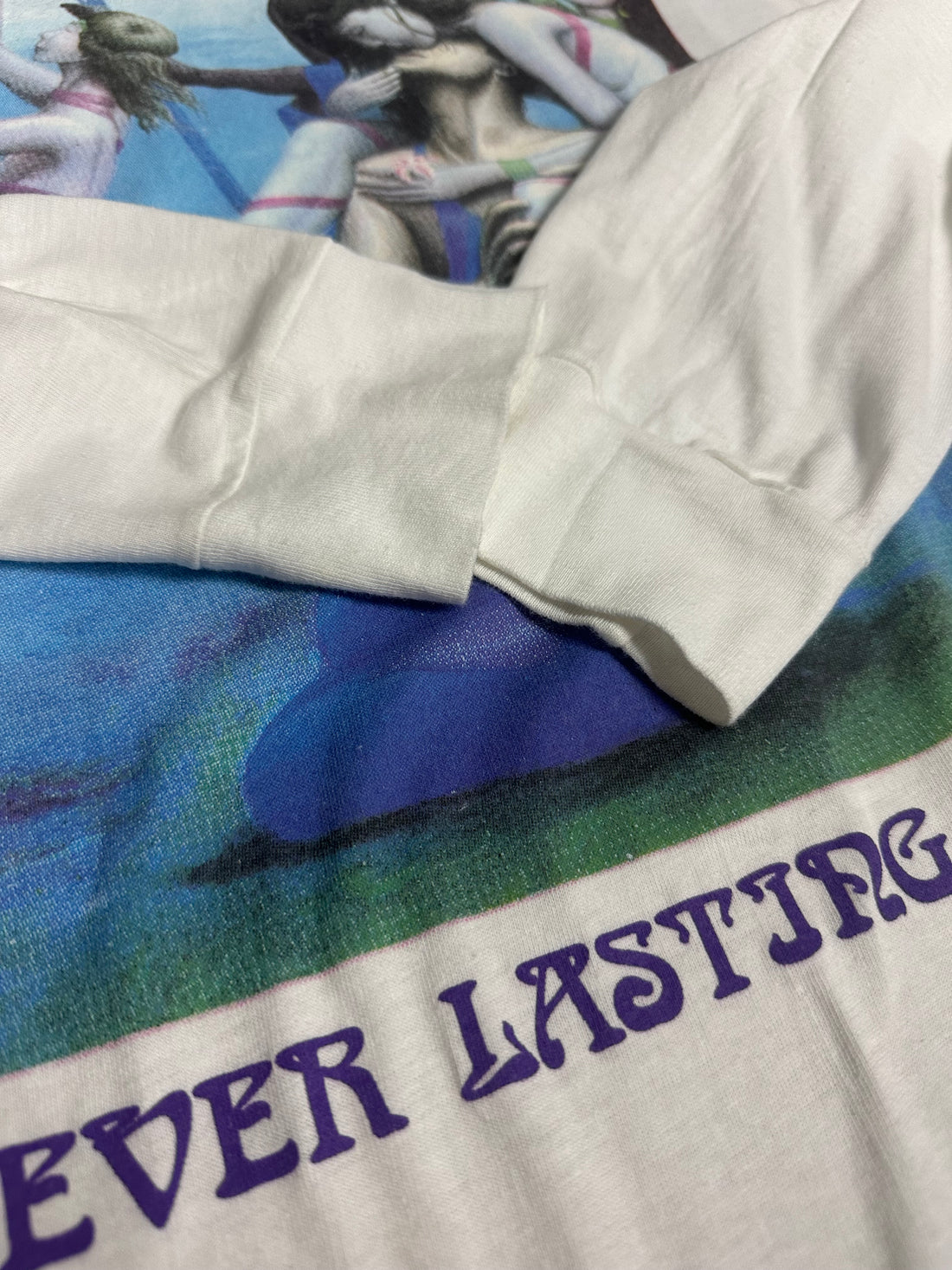 ヴィンテージ 1990 カテドラル ネバー ラスティング ラブ ロングスリーブ