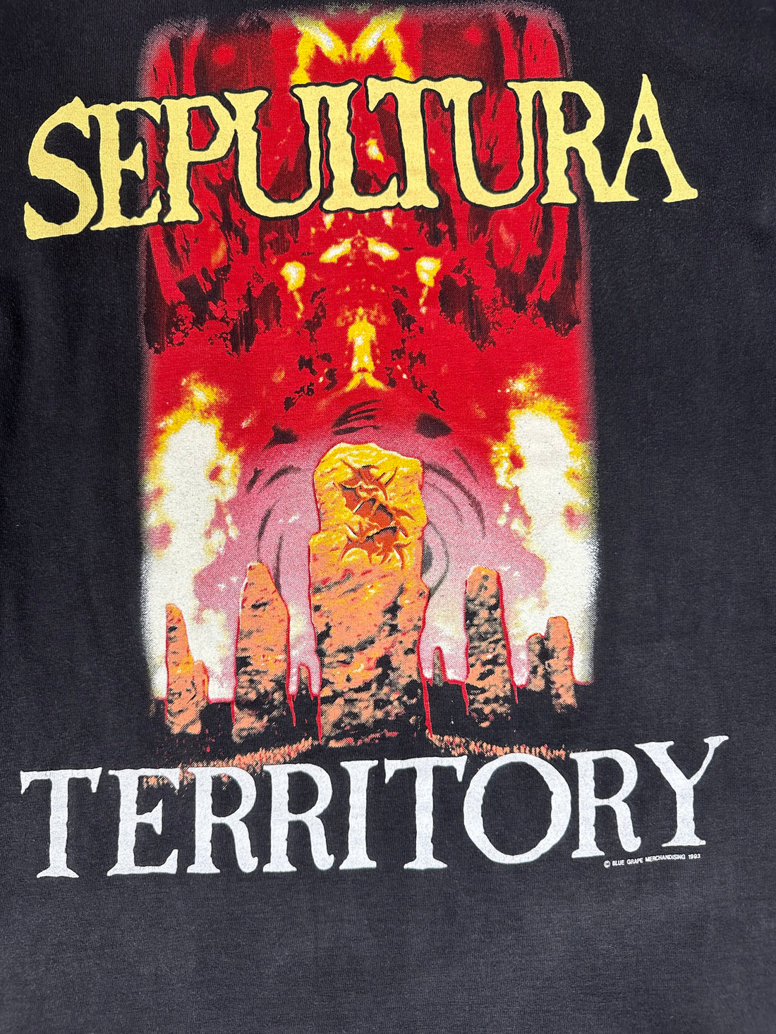 1993年ヴィンテージ セパルトゥラ テリトリー Tシャツ