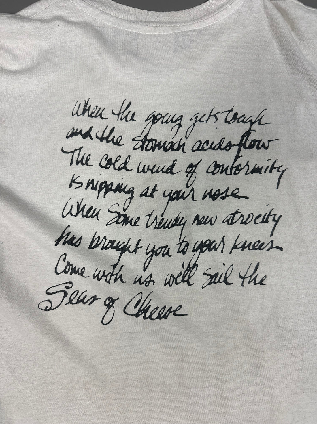 プリムス 1991 セーリング・ザ・シーズ・オブ・チーズ ヴィンテージ Tシャツ