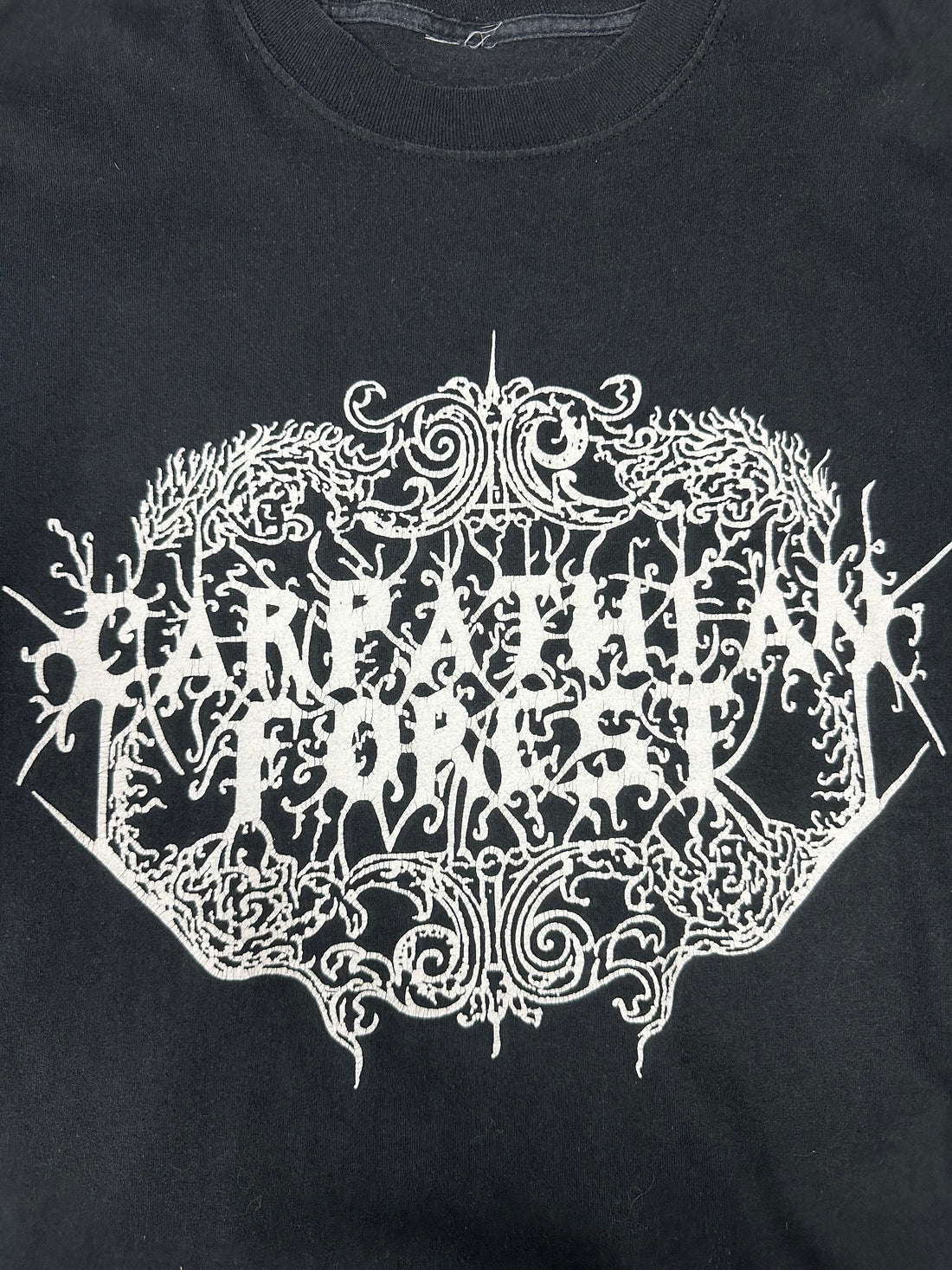 1990年代のヴィンテージ カルパティアフォレストTシャツ