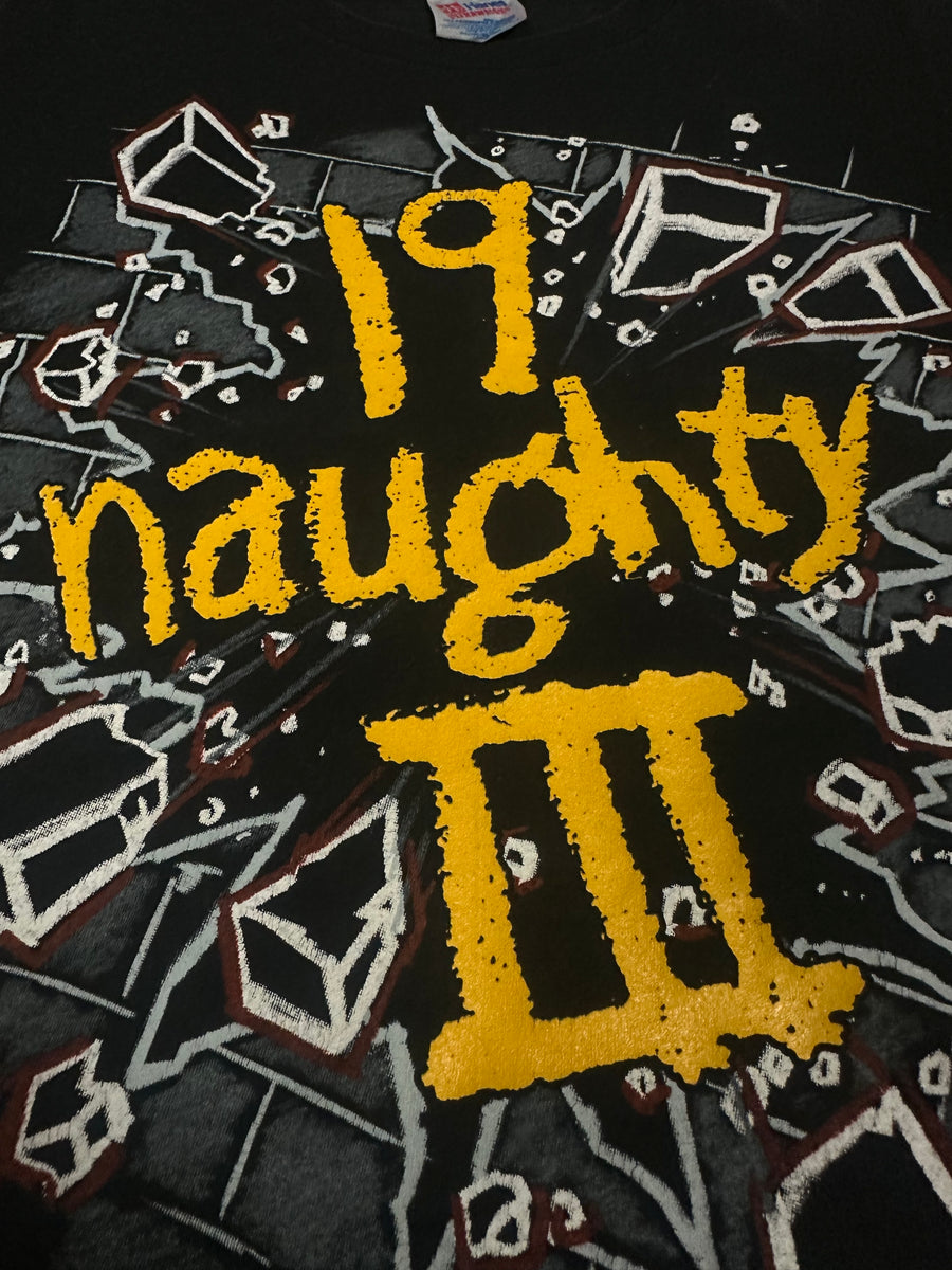 ノーティー・バイ・ネイチャー 1993 ヴィンテージ ヒップホップ Tシャツ