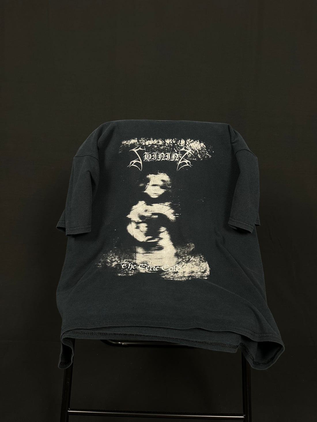 ヴィンテージ 2005 シャイニング・イーリー・コールド Tシャツ