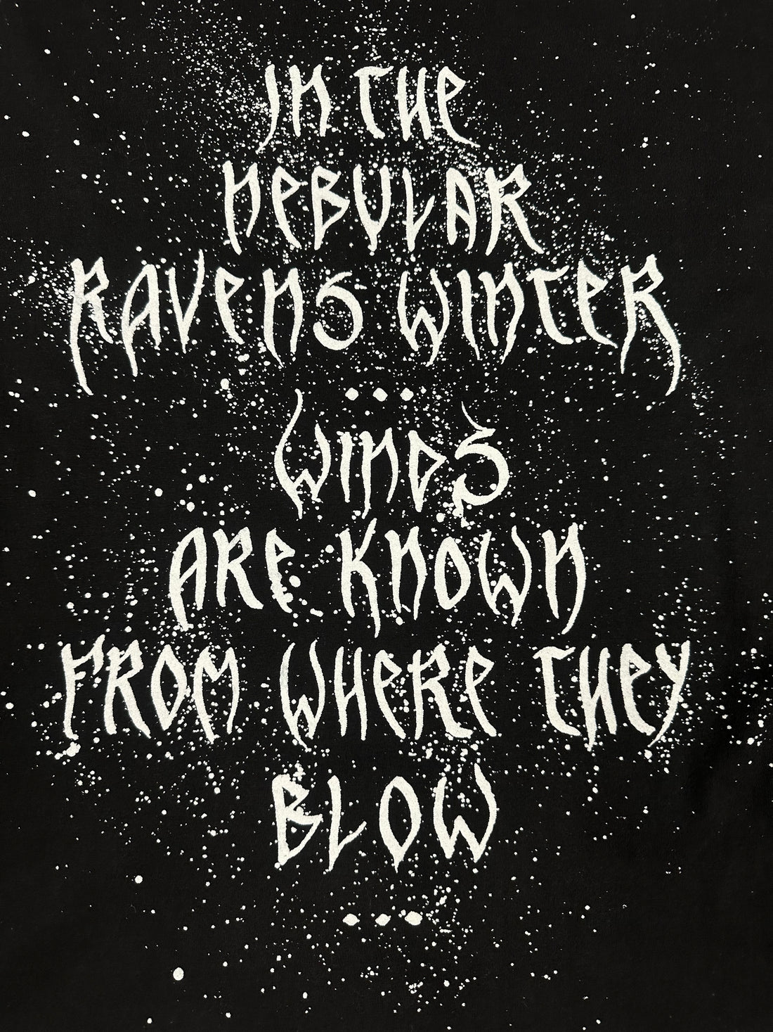 ヴィンテージ 1995 イモータル ネビュラー レイブンズ ロングスリーブ