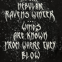 ヴィンテージ 1995 イモータル ネビュラー レイブンズ ロングスリーブ