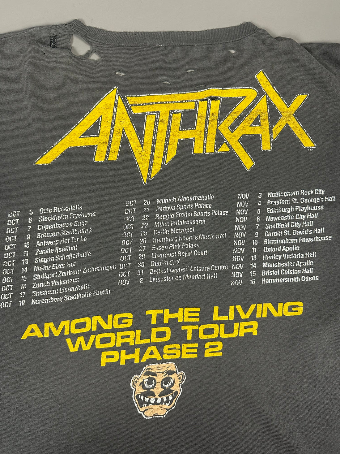 1987年ヴィンテージ アンスラックス アモング・ザ・リヴィング Tシャツ
