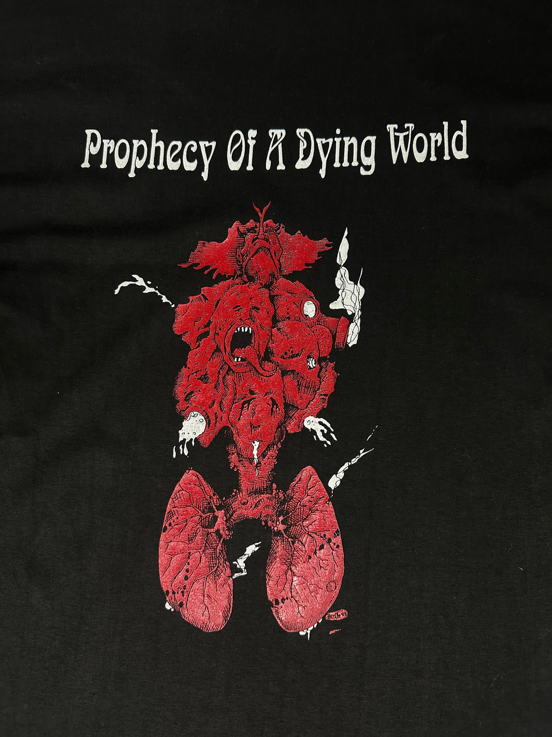 1991年ヴィンテージ レヴナント 死にゆく世界の予言 Tシャツ