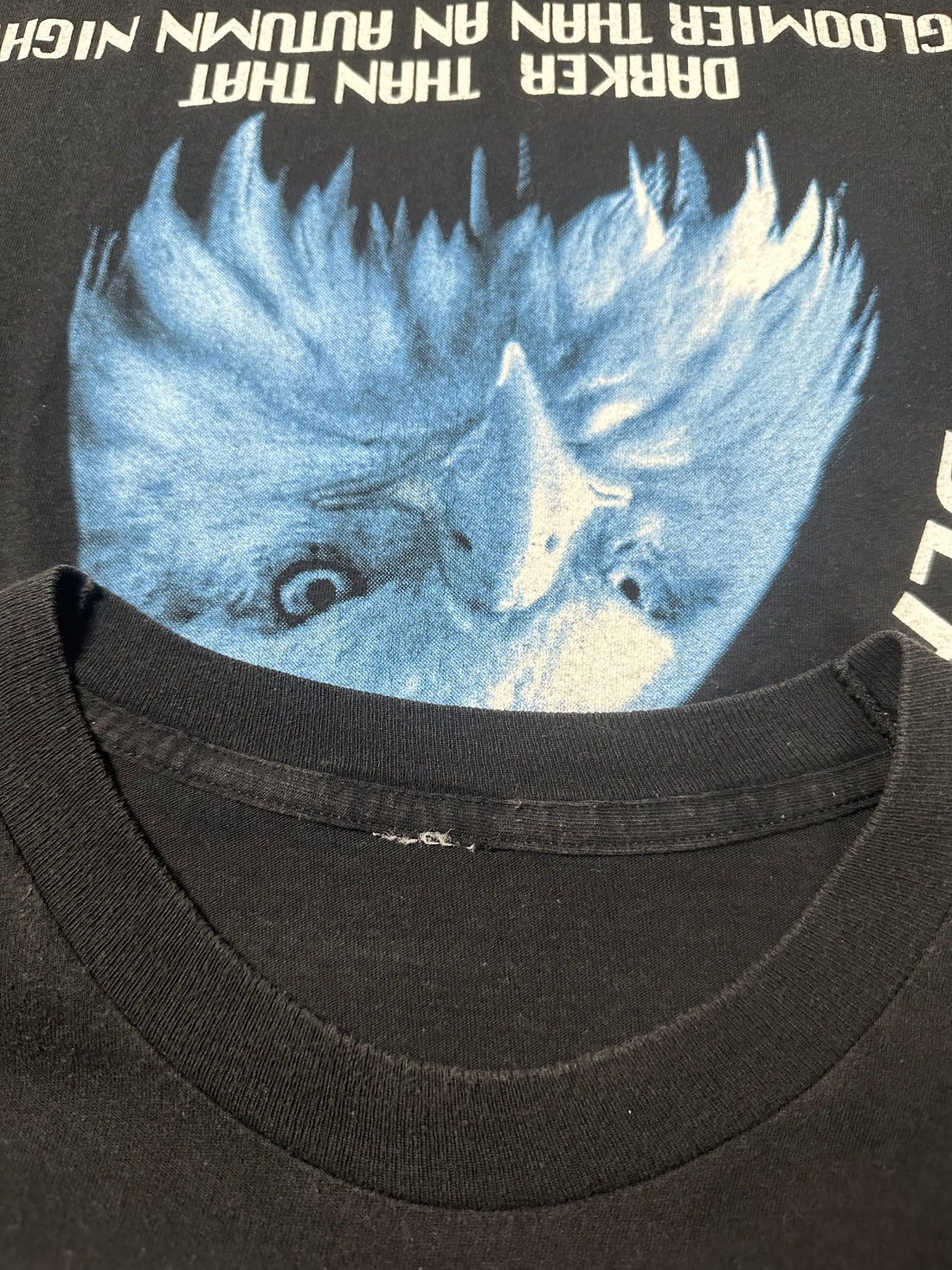 ヴィンテージ 1994 アモルフィス ブラック ウィンター デイ Tシャツ