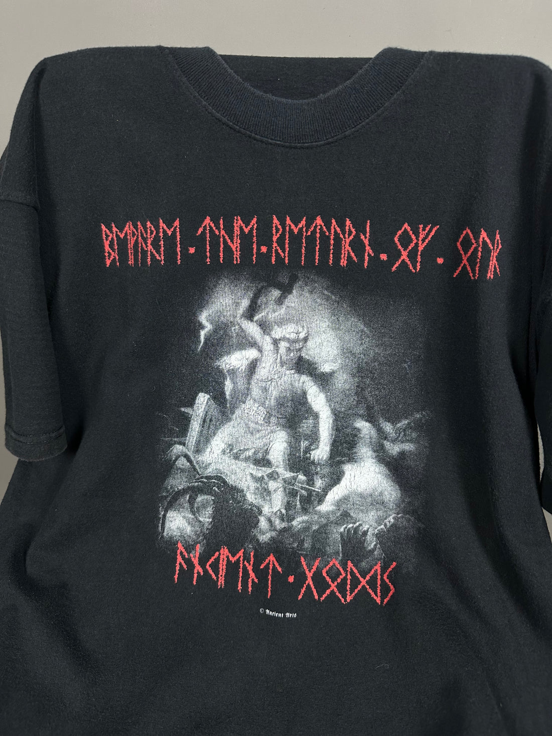 2000年代のヴィンテージ ノーザンゴッズ Tシャツ