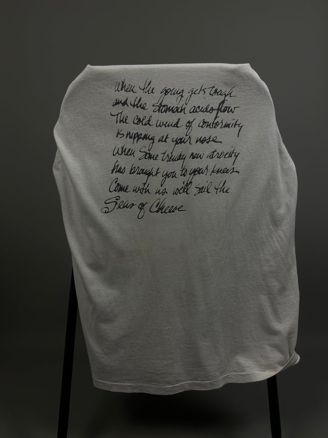 プリムス 1991 セーリング・ザ・シーズ・オブ・チーズ ヴィンテージ Tシャツ