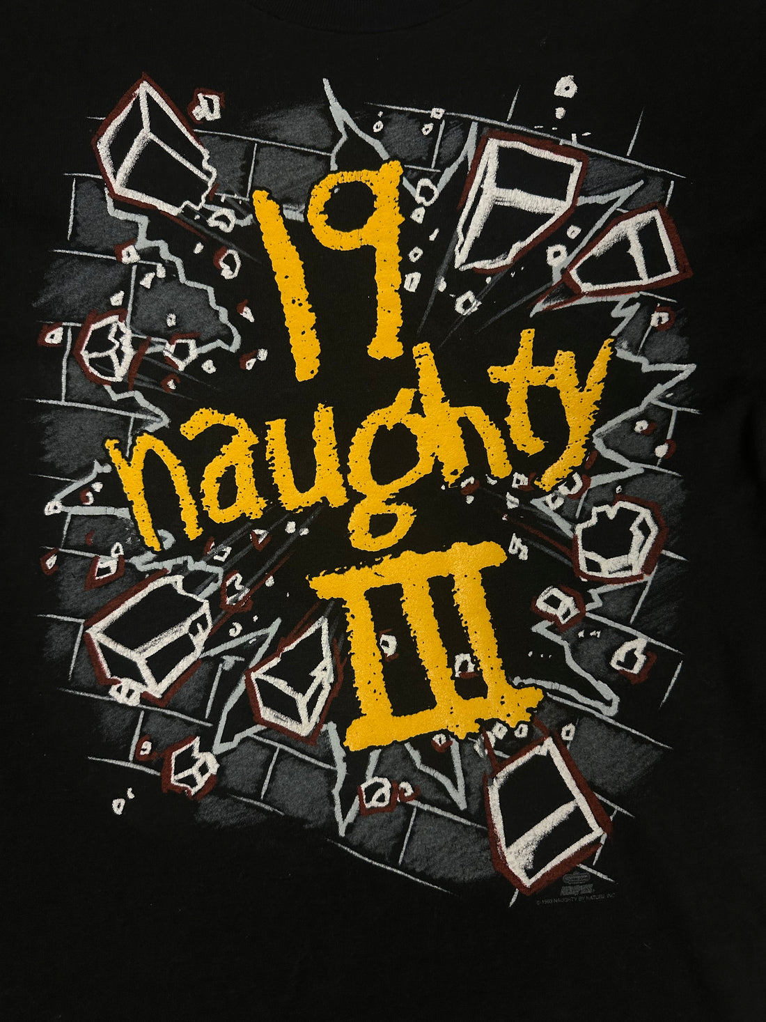 ノーティー・バイ・ネイチャー 1993 ヴィンテージ ヒップホップ Tシャツ