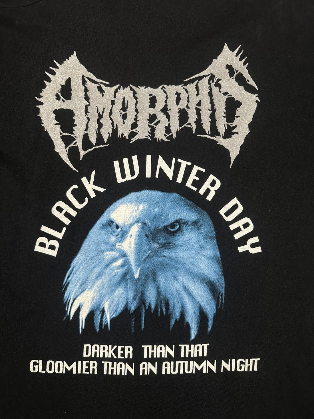ヴィンテージ 1994 アモルフィス ブラック ウィンター デイ Tシャツ