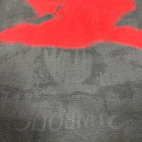 ヴィンテージ 1995 Death Symbolic Tour ロングスリーブ