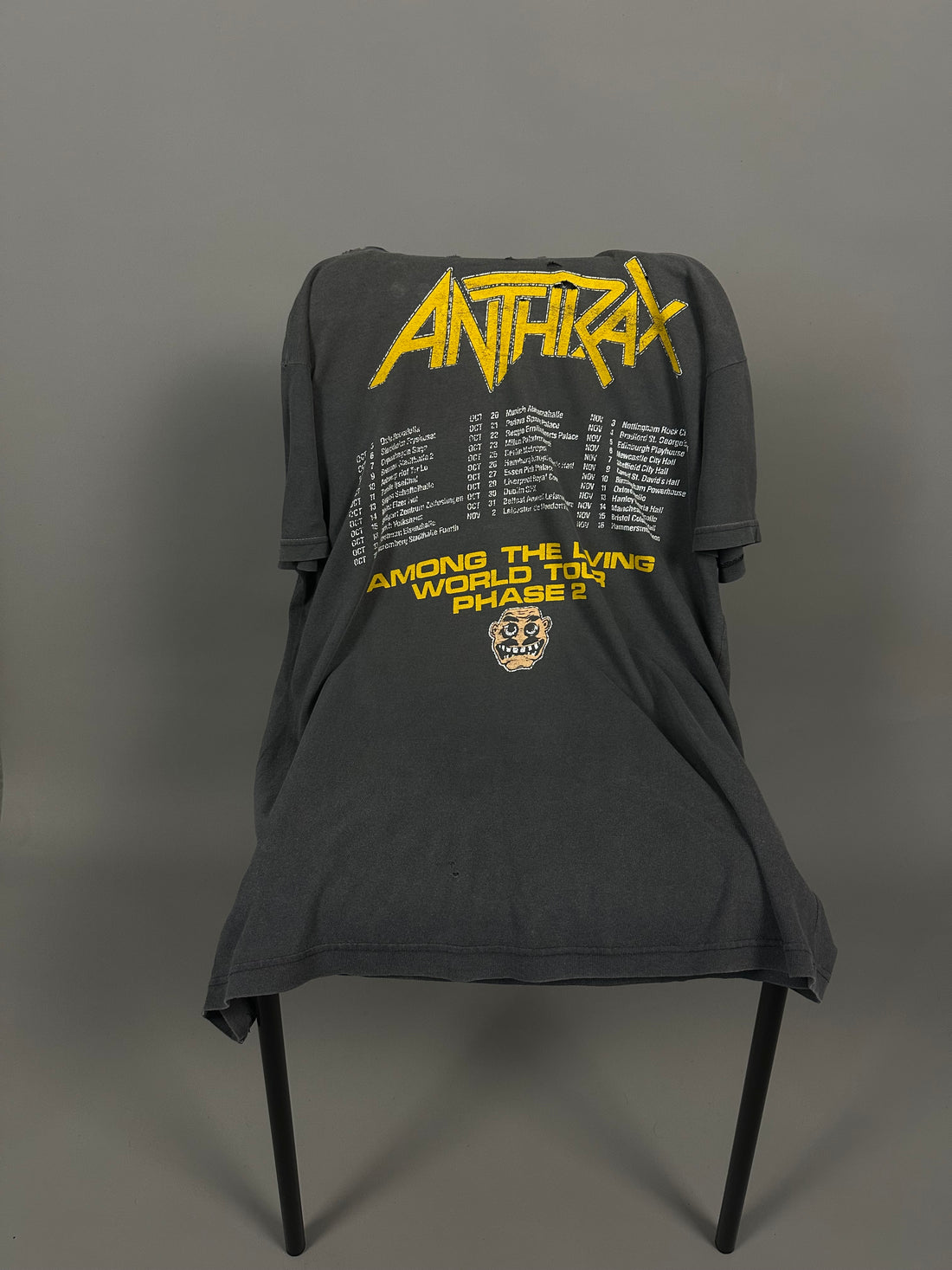 1987年ヴィンテージ アンスラックス アモング・ザ・リヴィング Tシャツ