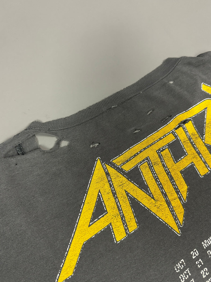 1987年ヴィンテージ アンスラックス アモング・ザ・リヴィング Tシャツ
