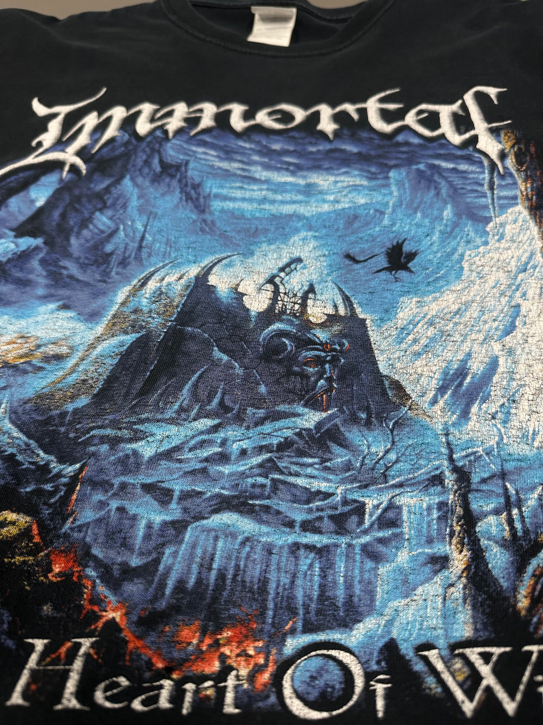 Vintage 2000s Immortal Heart Of Winter T-Shirt