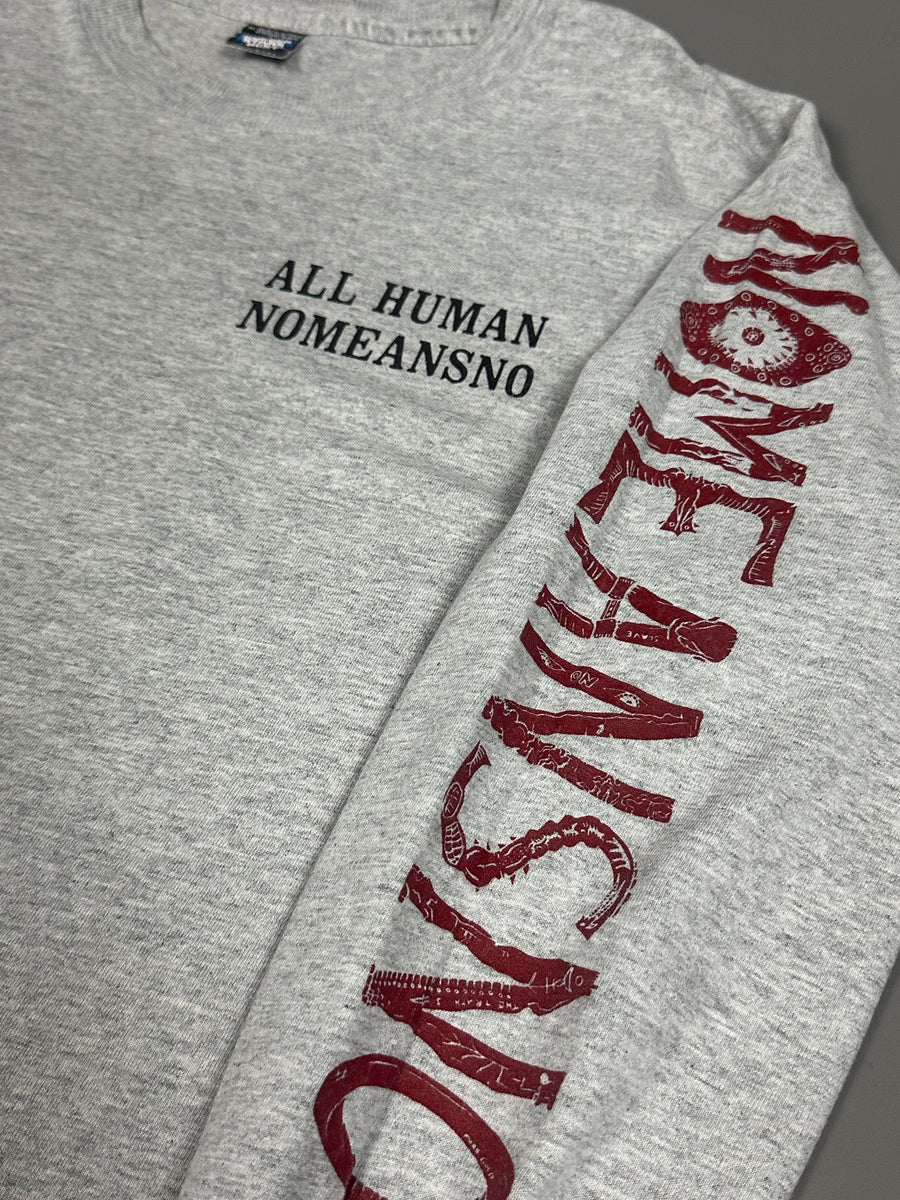 NoMeansNo 1994 オール・ヒューマンズ・ロリンズ・バンド ヴィンテージ Tシャツ