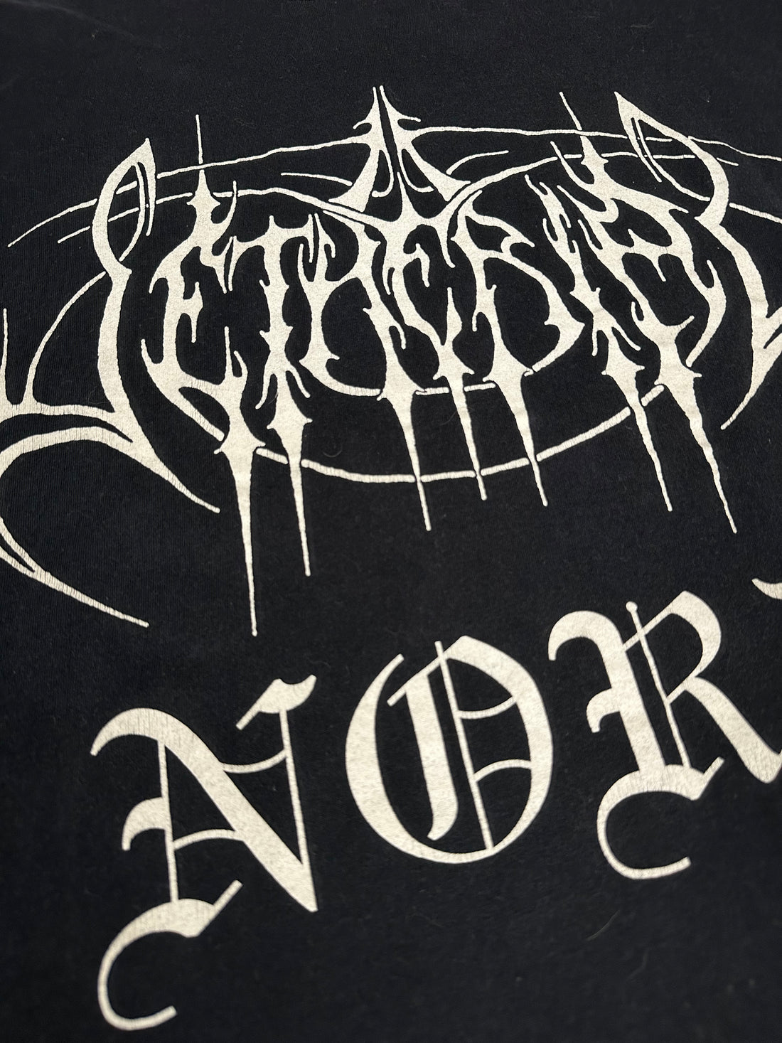 1996年ヴィンテージ セセリアル ノルド Tシャツ