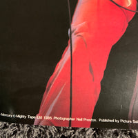 フレディ・マーキュリーの90年代ミュージックポスター